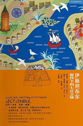伊斯坦布尔：面纱下的七丘之城